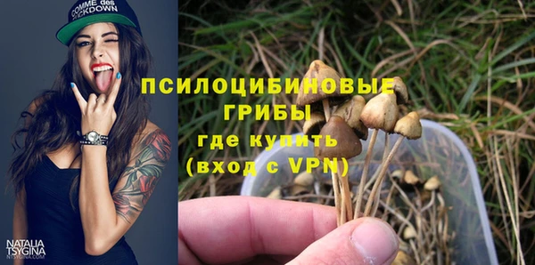 прущий лед Аркадак
