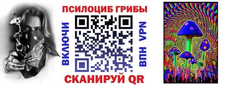 купить наркотик  KRAKEN tor  Псилоцибиновые грибы GOLDEN TEACHER  Новосокольники 