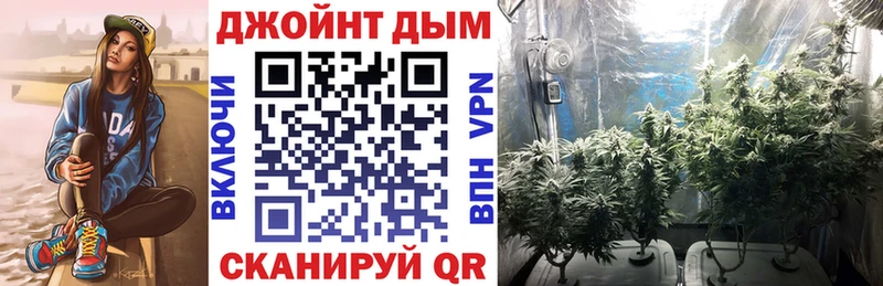 как найти   blacksprut онион  Бошки марихуана сатива  Новосокольники 